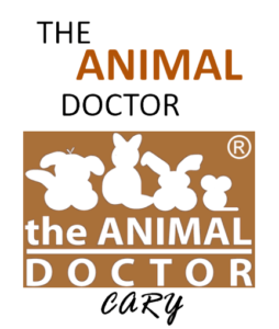 The Animal Doctor