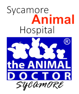 Sycamore Animal Hospital